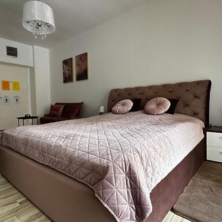 Colette Studio Belleview Σινάια Εξωτερικό φωτογραφία