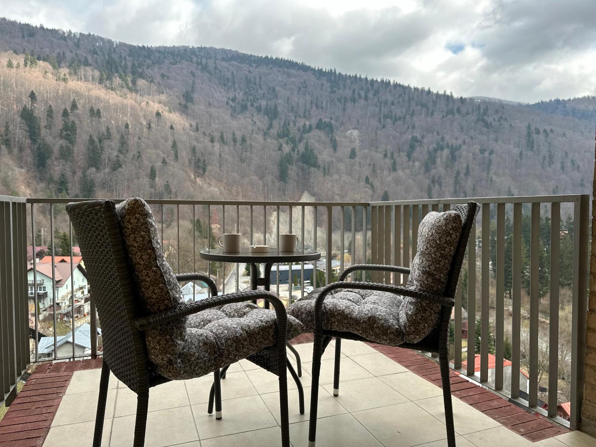 Colette Studio Belleview Σινάια Εξωτερικό φωτογραφία